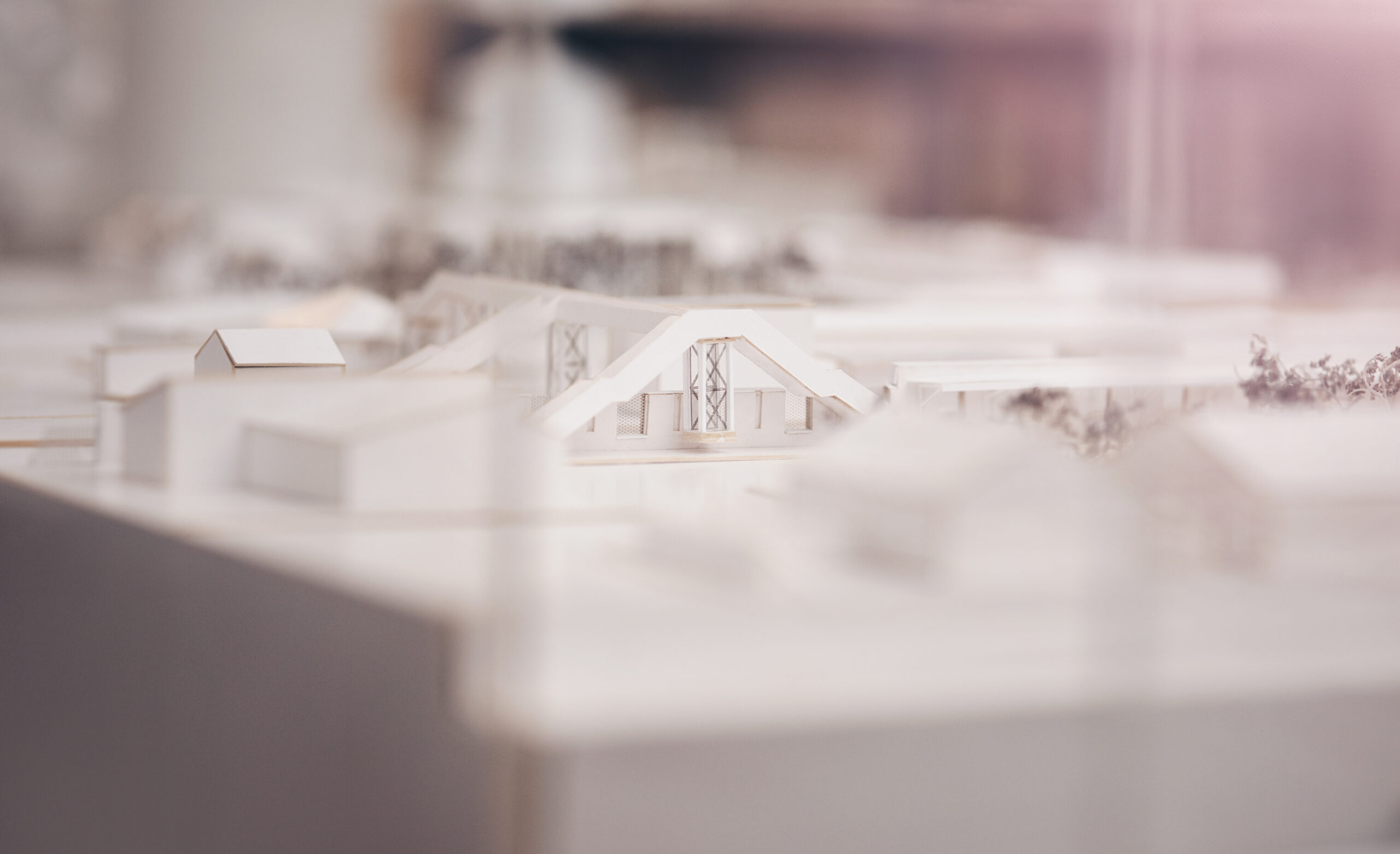 Inicios en el negocio de la arquitectura